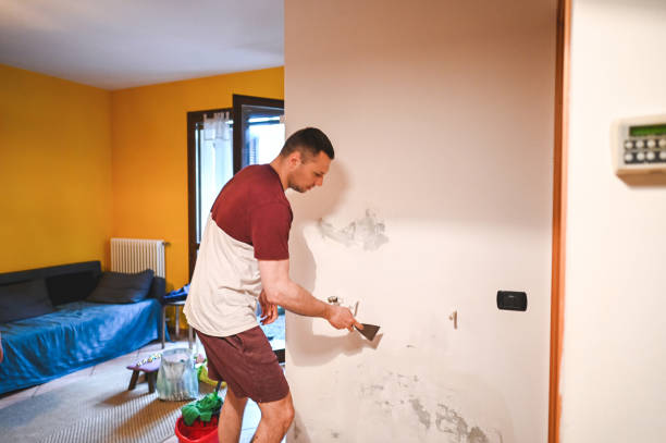 Best Mold Cleaning Services  in Kingston, WA